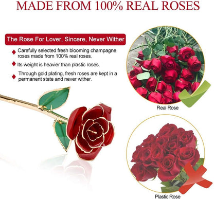 24K Real Gold Plated Rose Flower Gift in 3 Different Colors